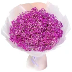 Букет из 51 розовой гипсофилы
